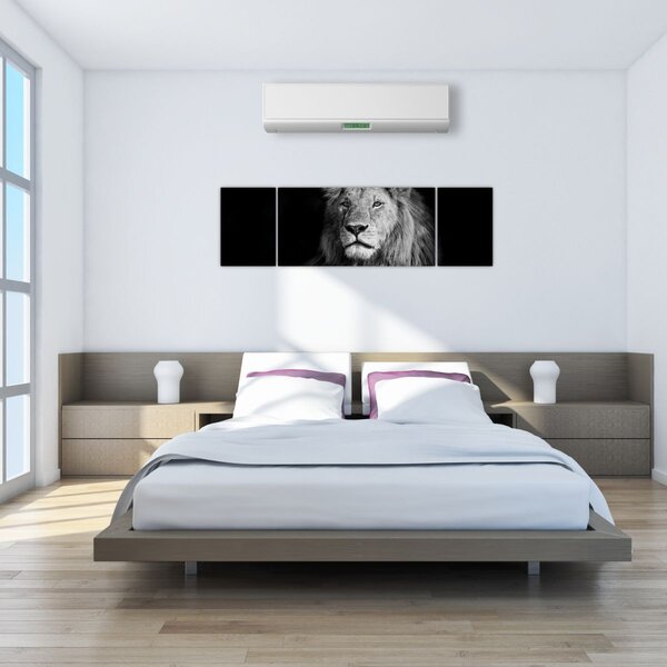 Obraz - Lev, černobílá (170x50 cm)