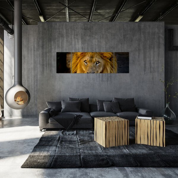 Obraz - Portrét lva (170x50 cm)