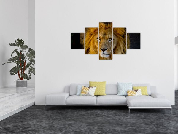 Obraz - Portrét lva (125x70 cm)