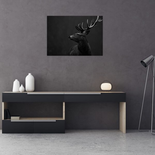Obraz - Portrét jelena (70x50 cm)
