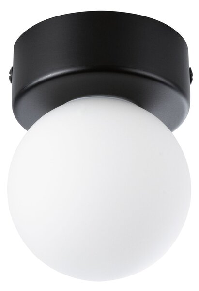 Paulmann 71068 Gove, koupelnové stropní svítidlo 1xG9 max. 20W, černá, průměr 8cm, IP44