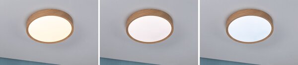 Paulmann 71085 Tega, koupelnové stropní svítidlo LED 22,5W White Switch, vzhled dřeva, průměr 33,4cm, IP44