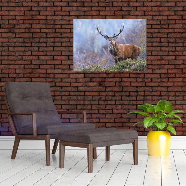 Obraz - Jelen v krajině (70x50 cm)