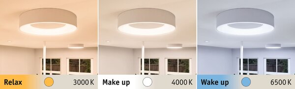 Paulmann 78947 Casca, koupelnové stropní svítidlo LED 23W White Switch, bílá, průměr 40cm, IP44