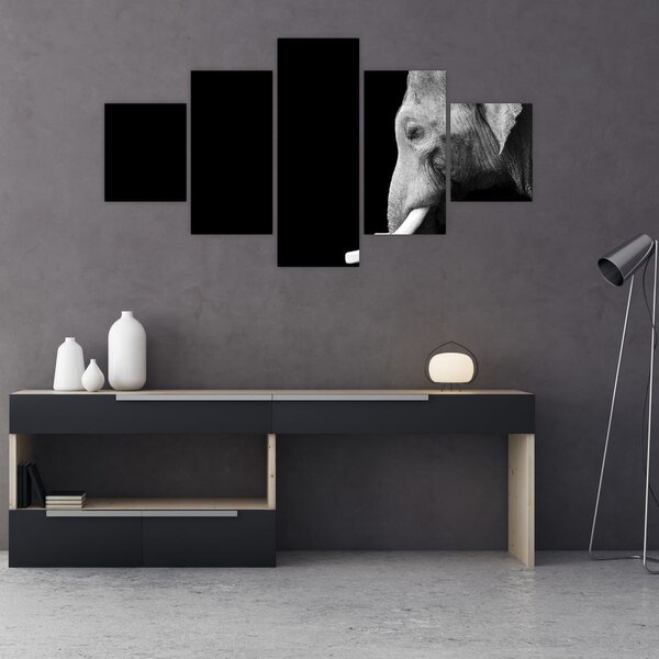 Obraz - Slon (125x70 cm)