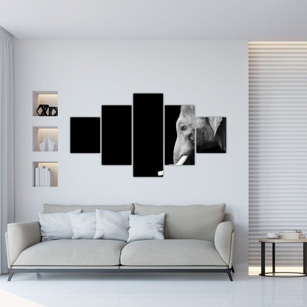 Obraz - Slon (125x70 cm)
