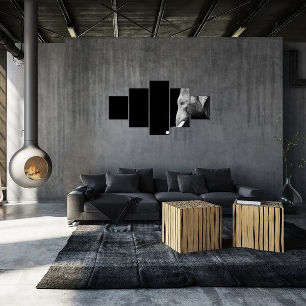 Obraz - Slon (125x70 cm)