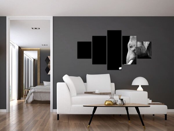 Obraz - Slon (125x70 cm)
