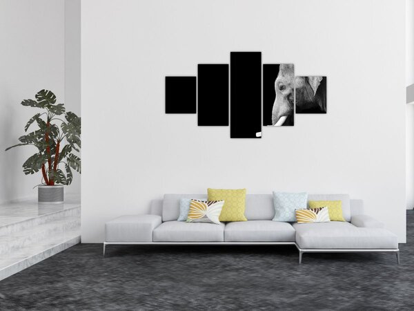 Obraz - Slon (125x70 cm)