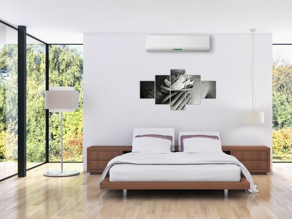 Obraz - Lotos v rukou Buddhy (125x70 cm)