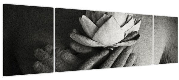 Obraz - Lotos v rukou Buddhy (170x50 cm)