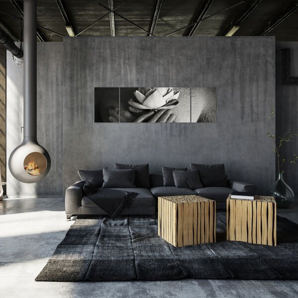 Obraz - Lotos v rukou Buddhy (170x50 cm)