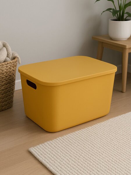 Sinsay - Úložný box s víkem - oranžová