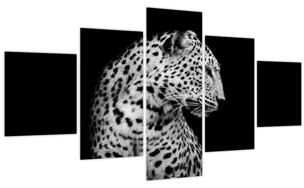 Obraz - Leopard (125x70 cm)