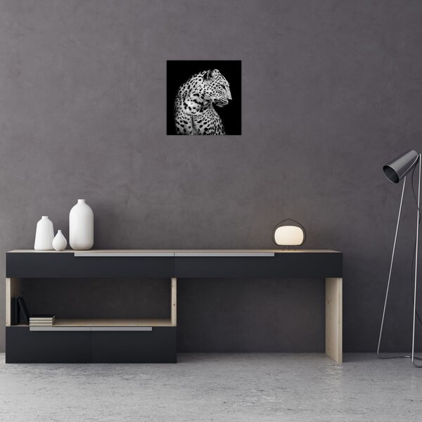 Obraz - Leopard (30x30 cm)