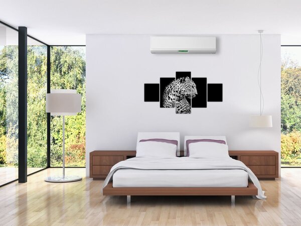 Obraz - Leopard (125x70 cm)