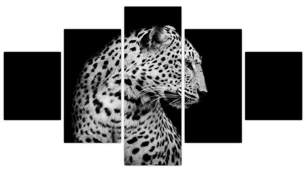 Obraz - Leopard (125x70 cm)