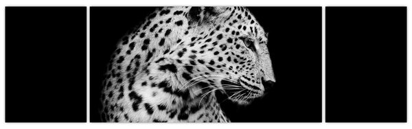 Obraz - Leopard (170x50 cm)