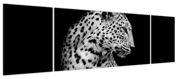 Obraz - Leopard (170x50 cm)