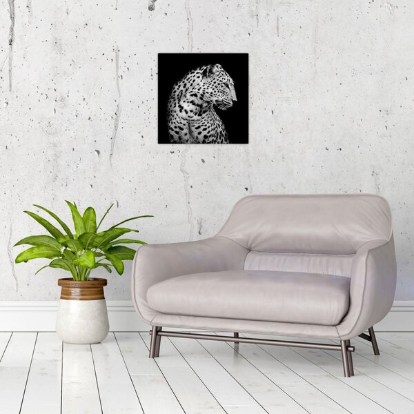 Obraz - Leopard (30x30 cm)