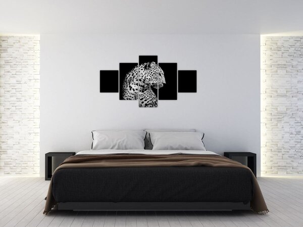 Obraz - Leopard (125x70 cm)