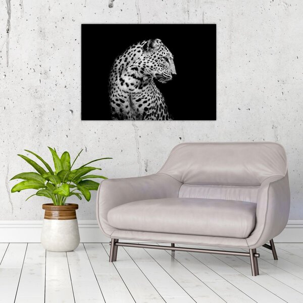Obraz - Leopard (70x50 cm)