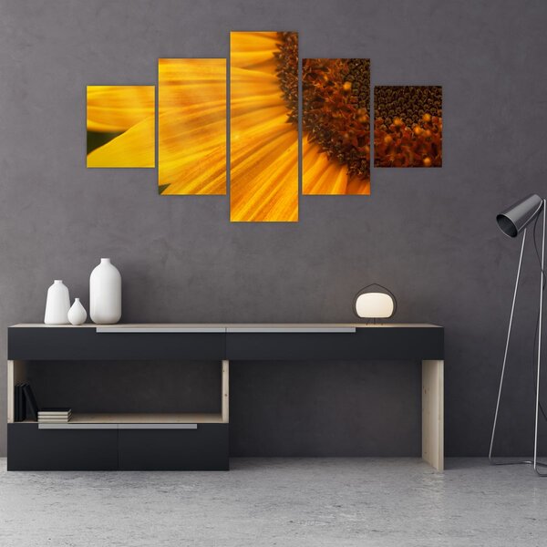 Obraz - Slunečnice (125x70 cm)