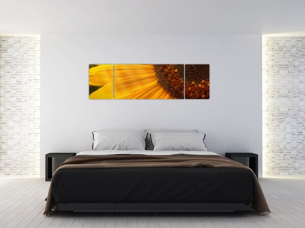 Obraz - Slunečnice (170x50 cm)