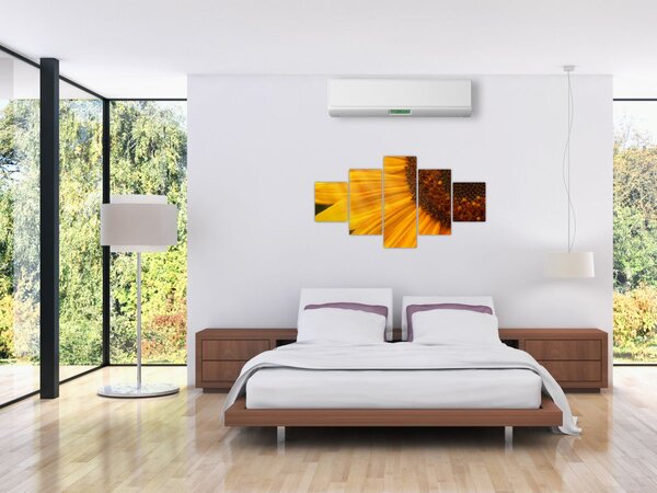 Obraz - Slunečnice (125x70 cm)
