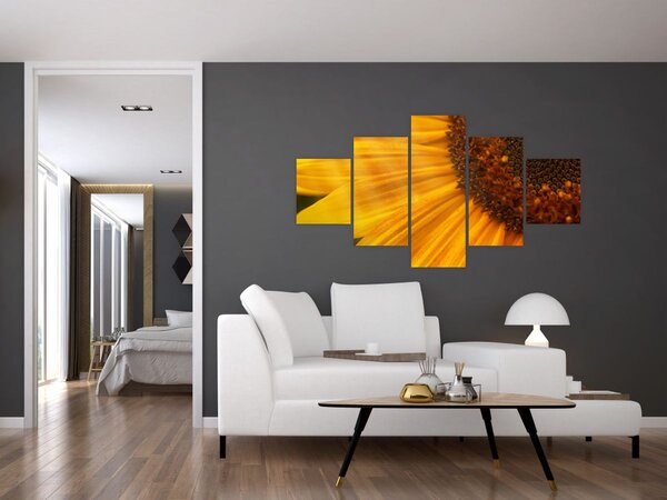 Obraz - Slunečnice (125x70 cm)