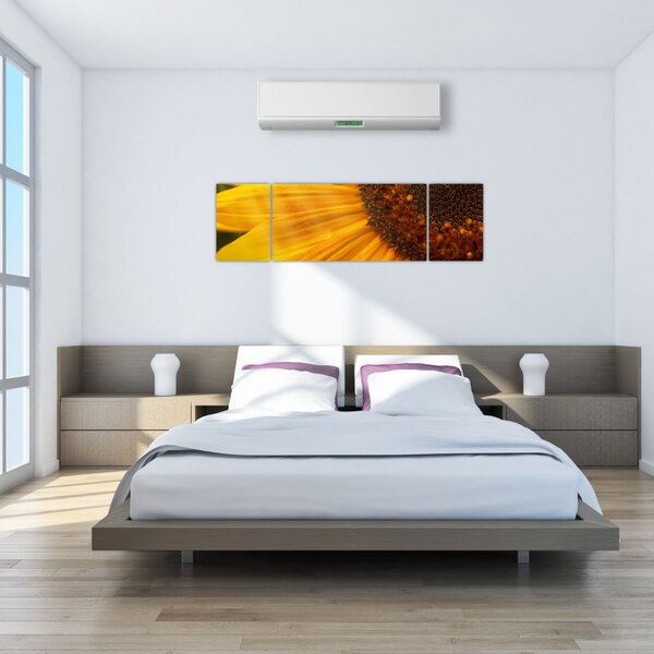 Obraz - Slunečnice (170x50 cm)