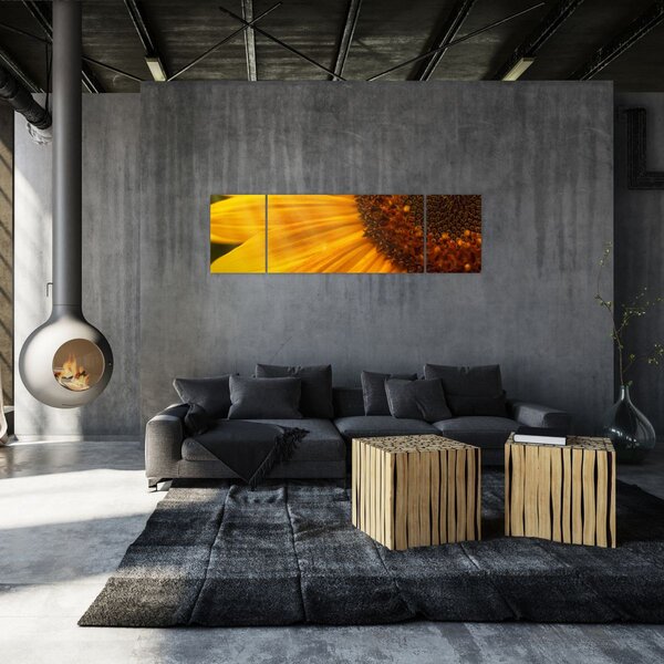 Obraz - Slunečnice (170x50 cm)