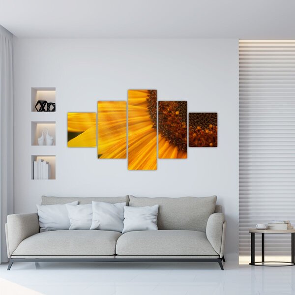 Obraz - Slunečnice (125x70 cm)