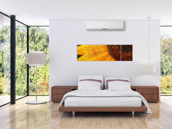 Obraz - Slunečnice (170x50 cm)