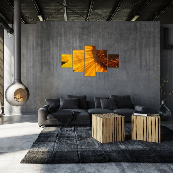 Obraz - Slunečnice (125x70 cm)