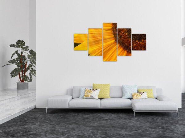 Obraz - Slunečnice (125x70 cm)