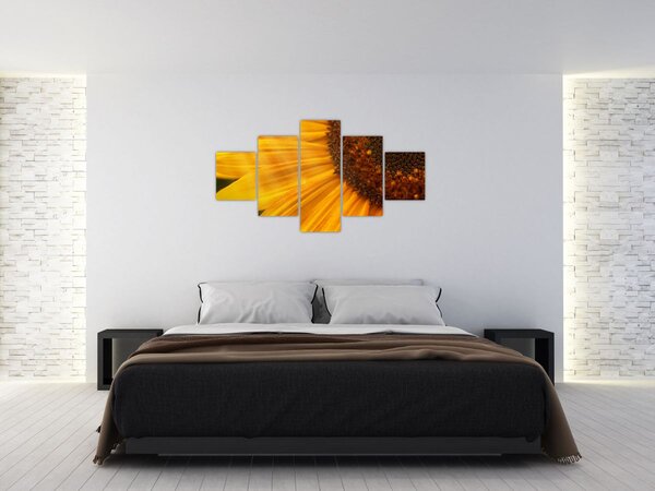 Obraz - Slunečnice (125x70 cm)
