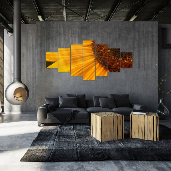 Obraz - Slunečnice (210x100 cm)