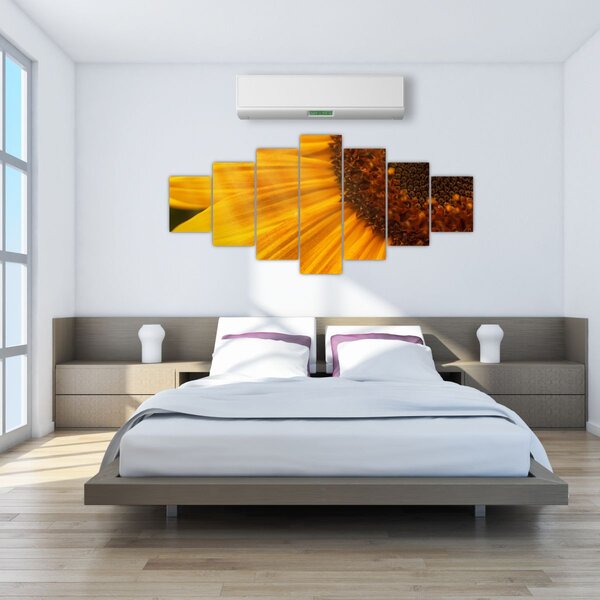 Obraz - Slunečnice (210x100 cm)