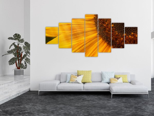 Obraz - Slunečnice (210x100 cm)