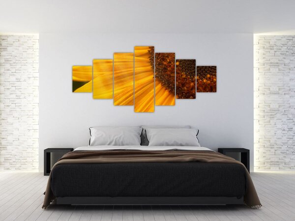 Obraz - Slunečnice (210x100 cm)