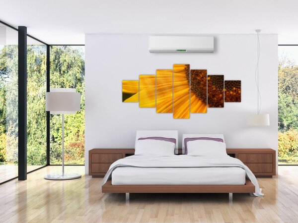 Obraz - Slunečnice (210x100 cm)