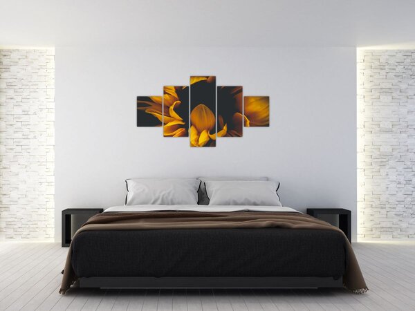 Obraz - Slunečnice v černém pozadí (125x70 cm)