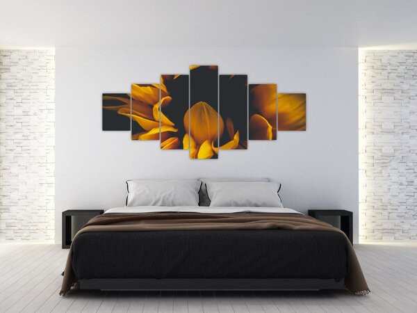 Obraz - Slunečnice v černém pozadí (210x100 cm)