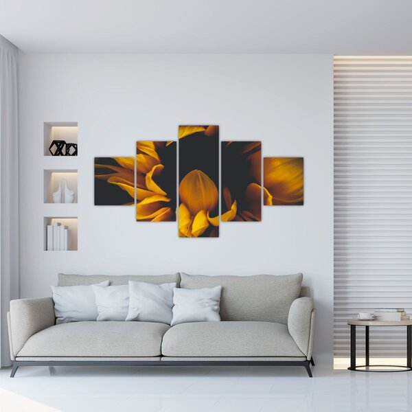 Obraz - Slunečnice v černém pozadí (125x70 cm)
