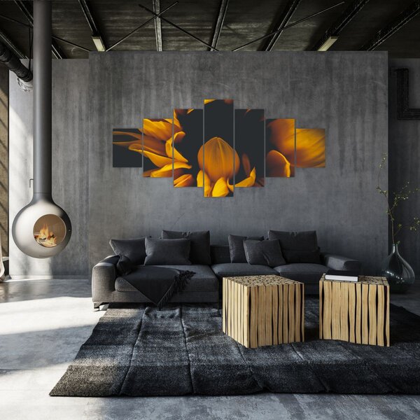 Obraz - Slunečnice v černém pozadí (210x100 cm)