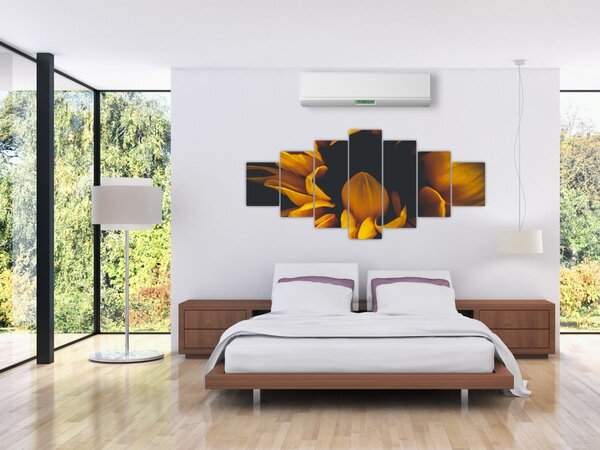 Obraz - Slunečnice v černém pozadí (210x100 cm)