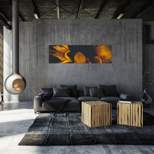 Obraz - Slunečnice v černém pozadí (170x50 cm)