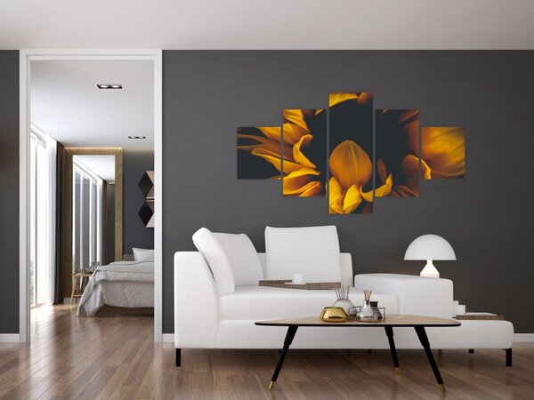 Obraz - Slunečnice v černém pozadí (125x70 cm)