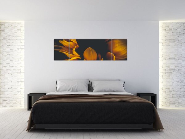 Obraz - Slunečnice v černém pozadí (170x50 cm)